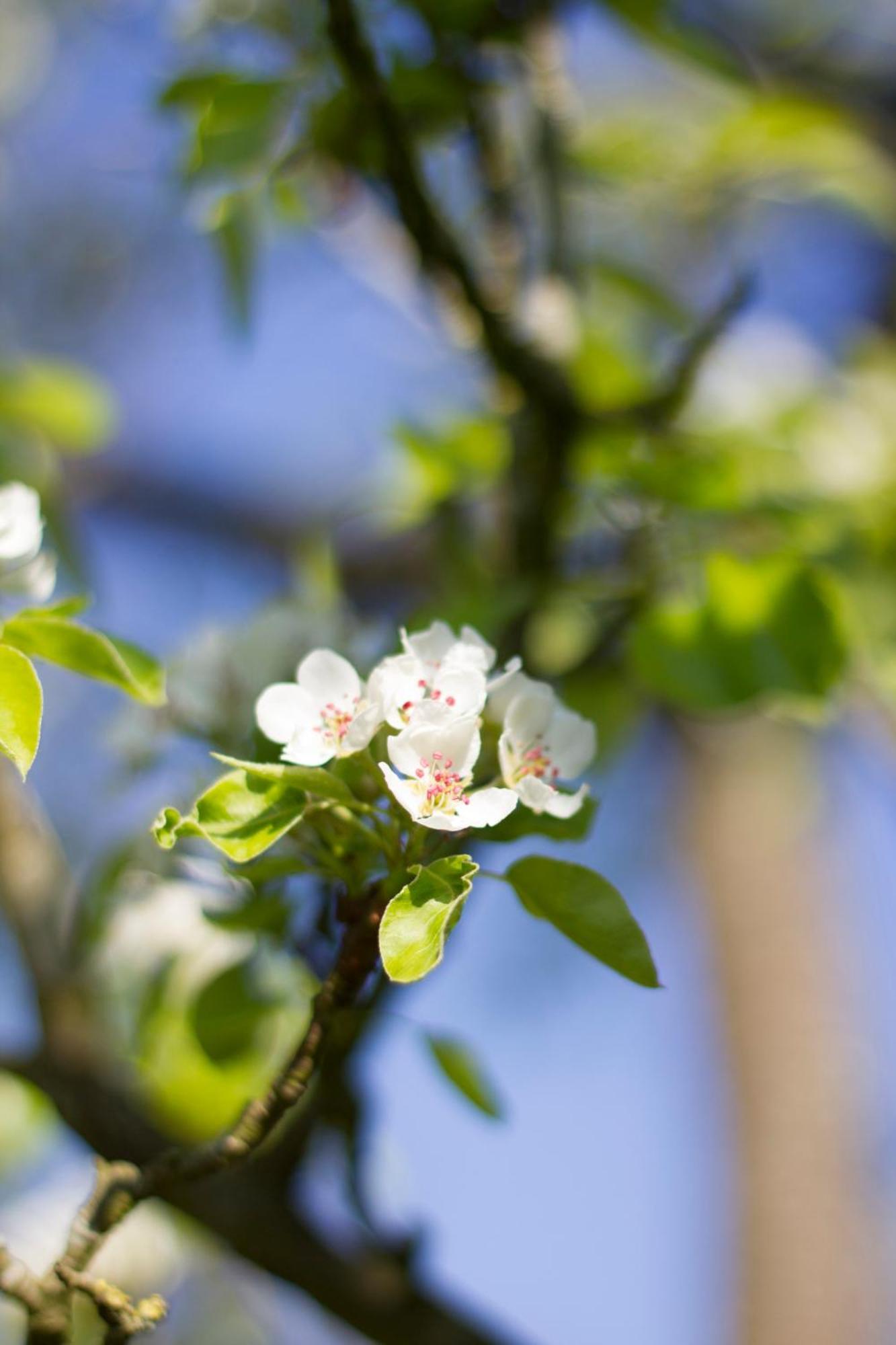 Ronhave Bed & Breakfast Sonderborg Luaran gambar